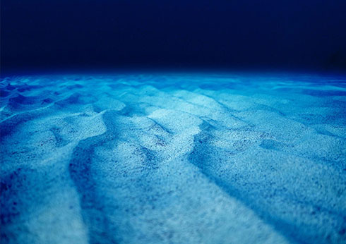 Underwater Sand Waves Analysis in Offshore Wind Farm Construction 